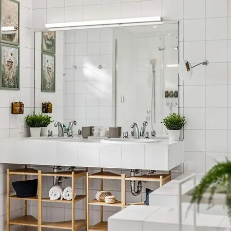 Aaa Oldtown View Freeparking Bestlocation 苏黎世