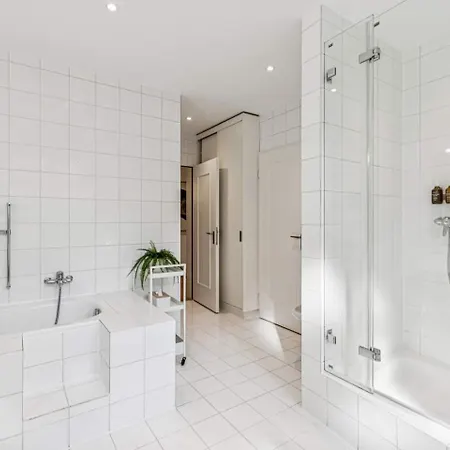 公寓 Aaa Oldtown View Freeparking Bestlocation 苏黎世